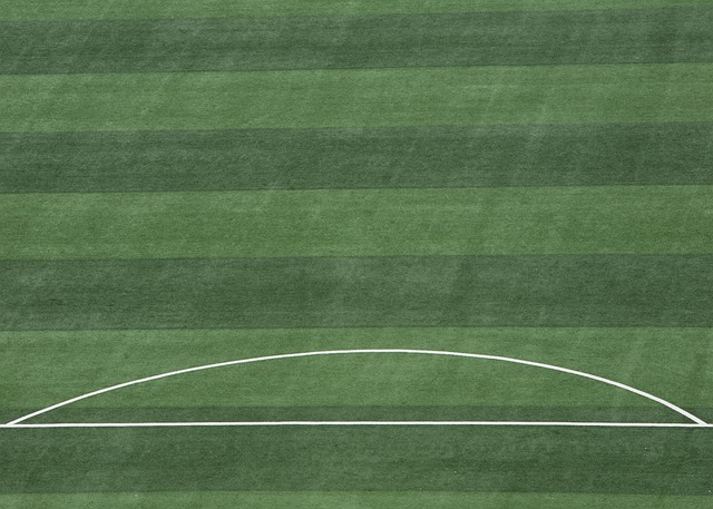 巴勒斯坦從 巴勒斯坦從