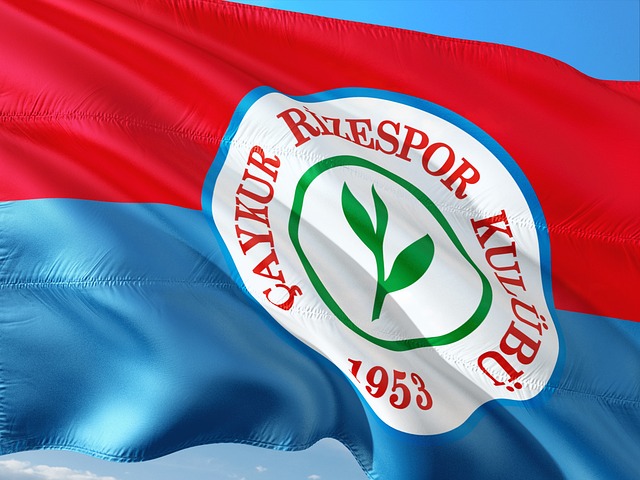 稳定的竞技 稳定的竞技