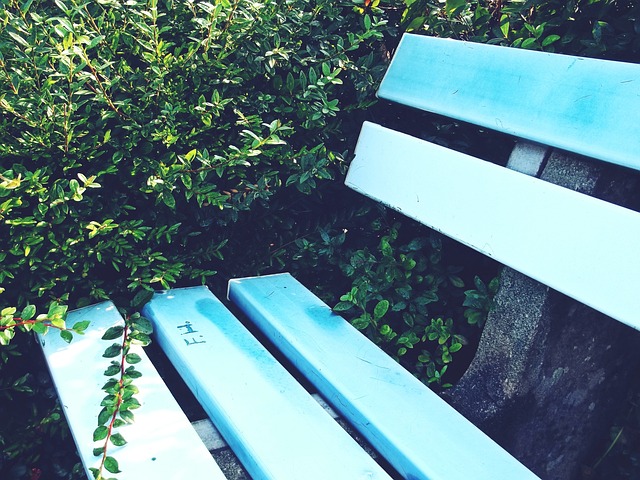 林诗栋将继 林诗栋将继