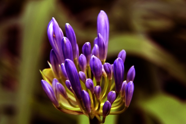 能和努力激 能和努力激