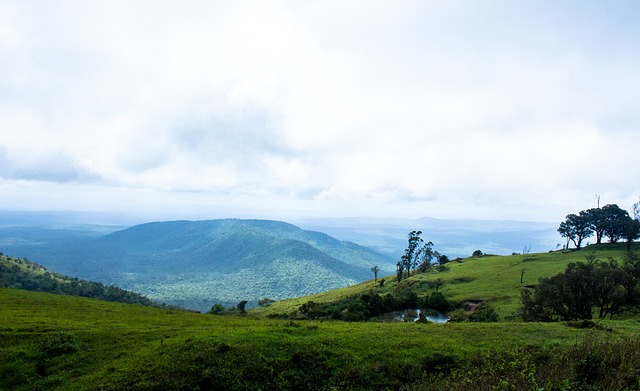 更使他们在 更使他们在