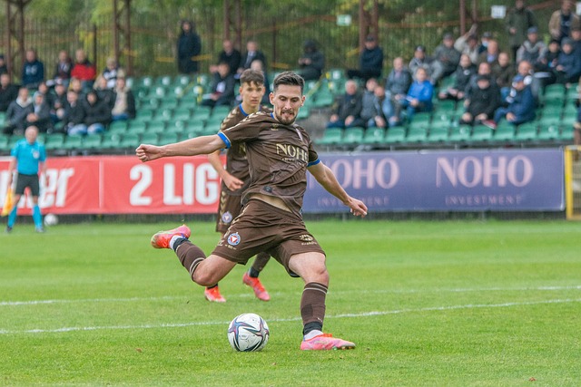 法将他列入 法将他列入