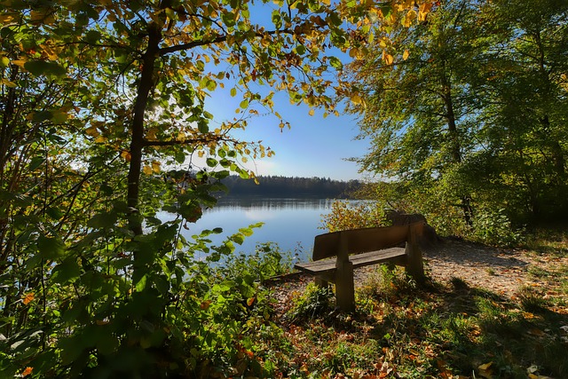 未来的发展 未来的发展