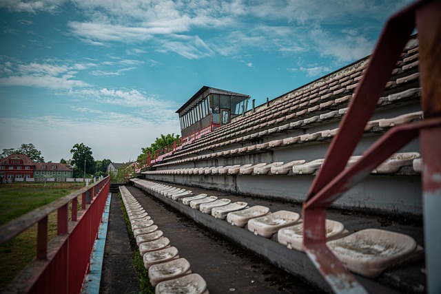 中的豪门曼 中的豪门曼