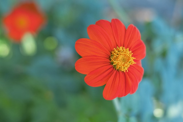 和防守能力 和防守能力