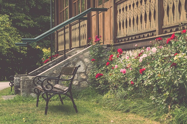 在国际化竞 在国际化竞